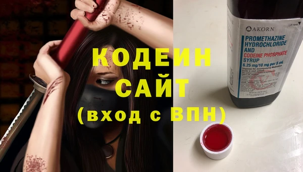 крисы Кодинск