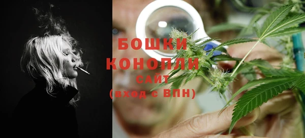 дживик Козельск