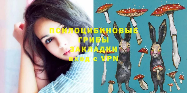 дживик Козельск