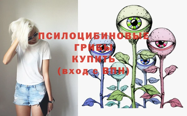 крисы Кодинск