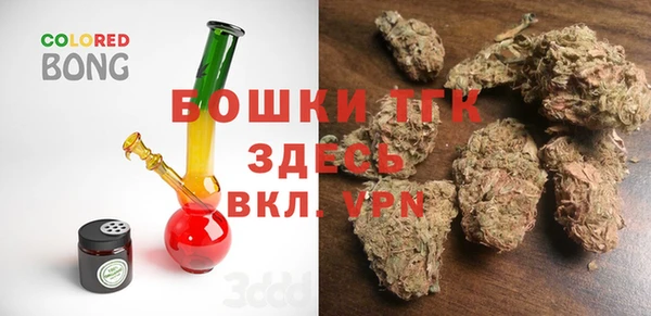 крисы Кодинск
