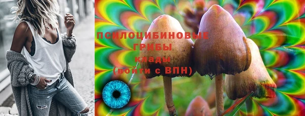 дживик Козельск