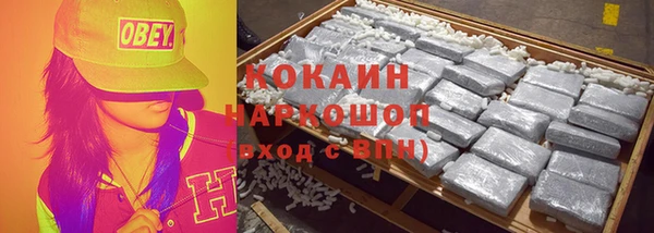 крисы Кодинск