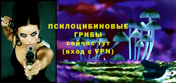метадон Козловка