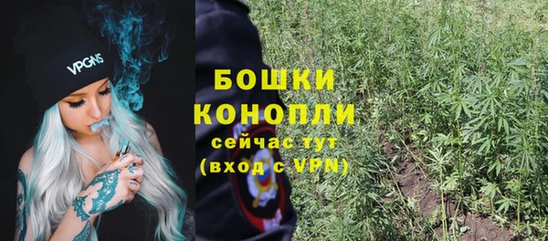 метадон Козловка