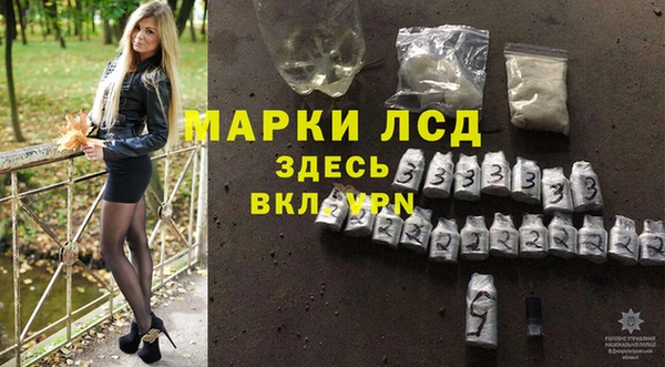 крисы Кодинск